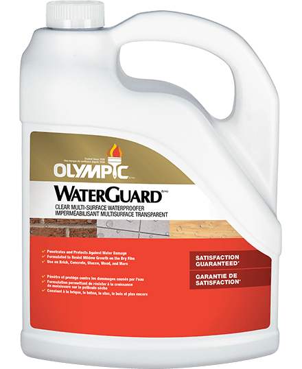 WaterGuard&reg; Multi-Surface Waterproofing Sealant Clear